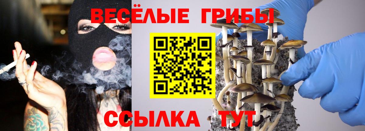 Галлюциногенные грибы мицелий  Вход с VPN  Славгород 